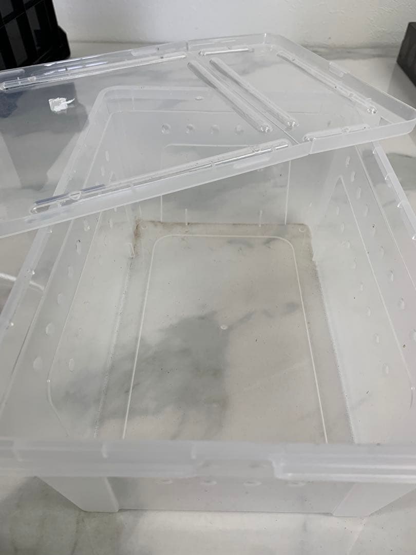 ＋ 爬虫類飼育5点セット ジェックス GEX ヒーター スポットライト