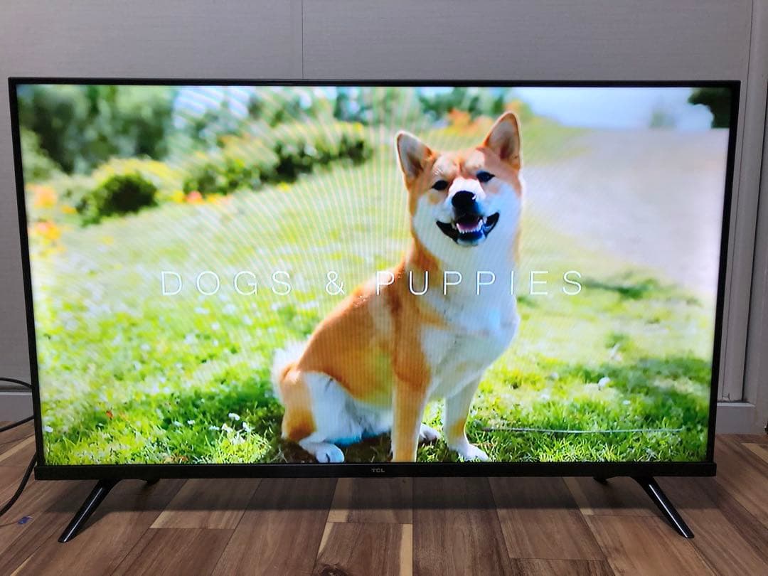 TCL 40V型 液晶テレビ Android TV 40S5200B 2021年