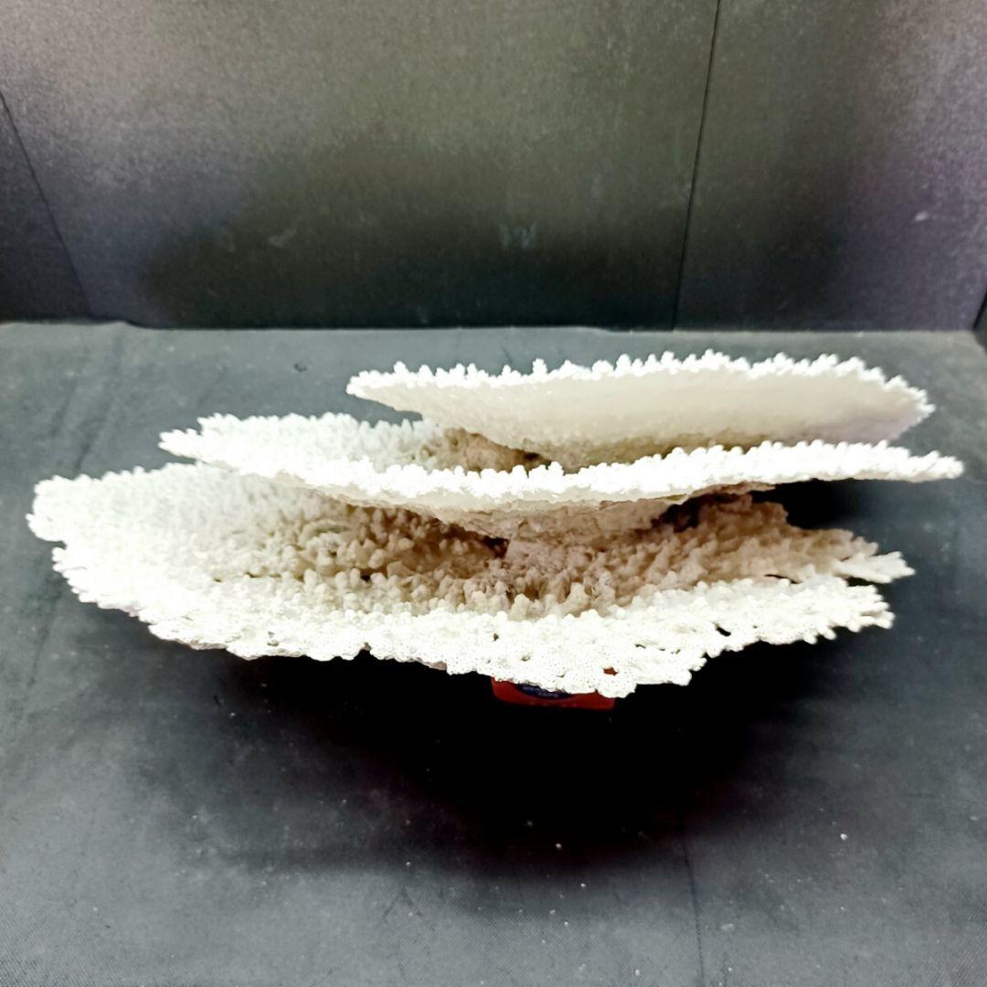 特大 飾り 珊瑚 3段 テーブル サンゴ礁 置物 白 海水魚 水槽 レイアウト