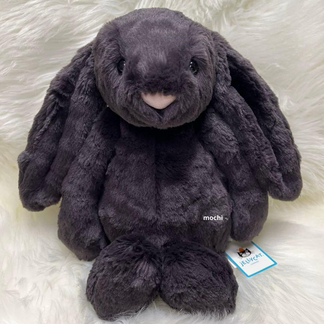  Medium Bashful Inky Bunny 黒 うさぎ