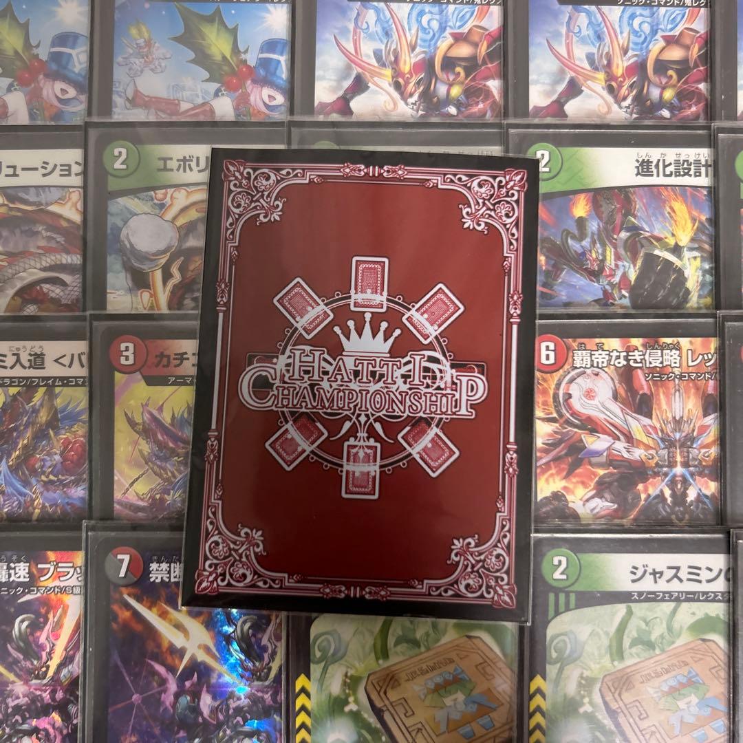 赤緑アポロ スリーブ付き