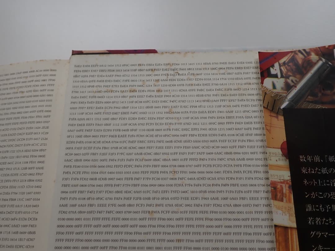 マーク・Z・ダニエレフスキー著　紙葉の家