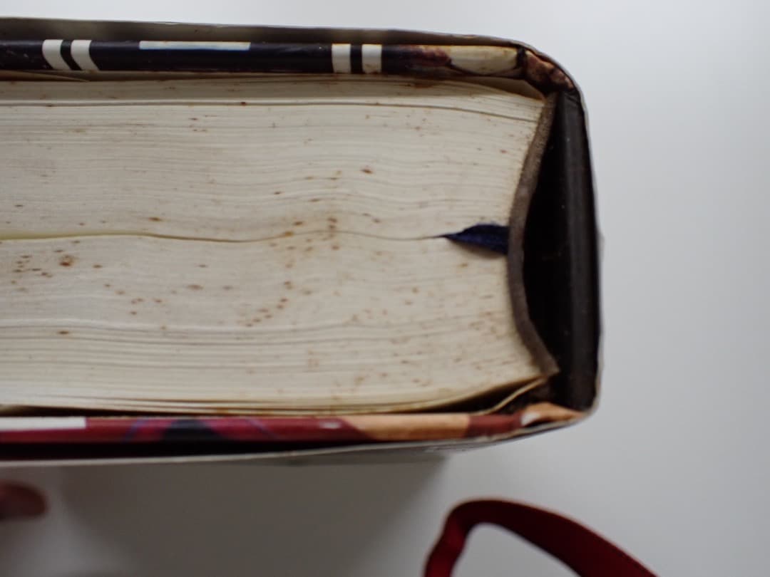 マーク・Z・ダニエレフスキー著　紙葉の家