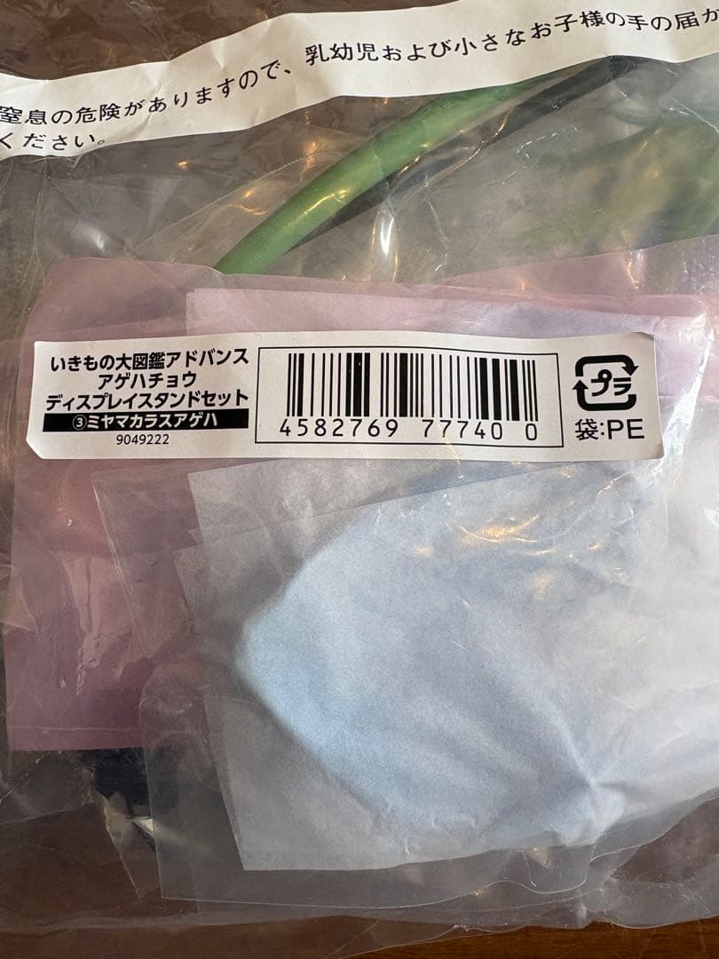 ♦︎ いきもの大図鑑アドバンス アゲハチョウ ミヤマカラスアゲハ スタンド付