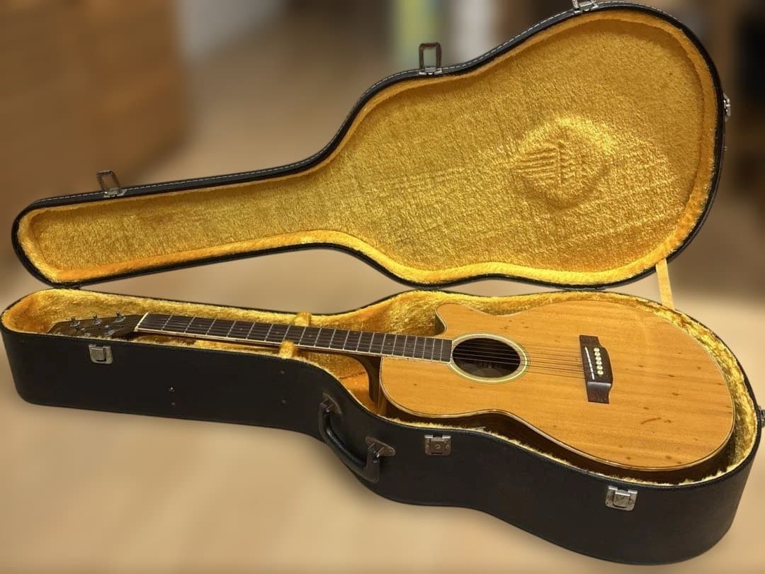 Headway エレアコ　ハードケース付き