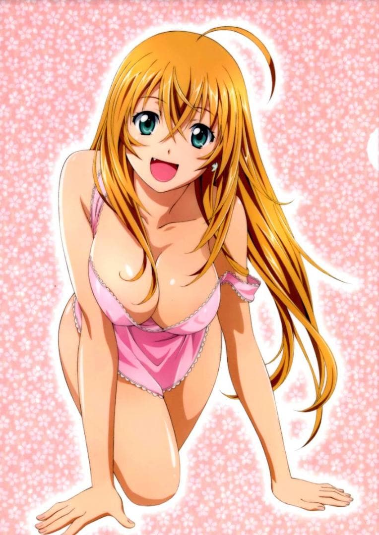 一騎当千 Extravaganza Epoch アニメイト 特典 クリアファイル