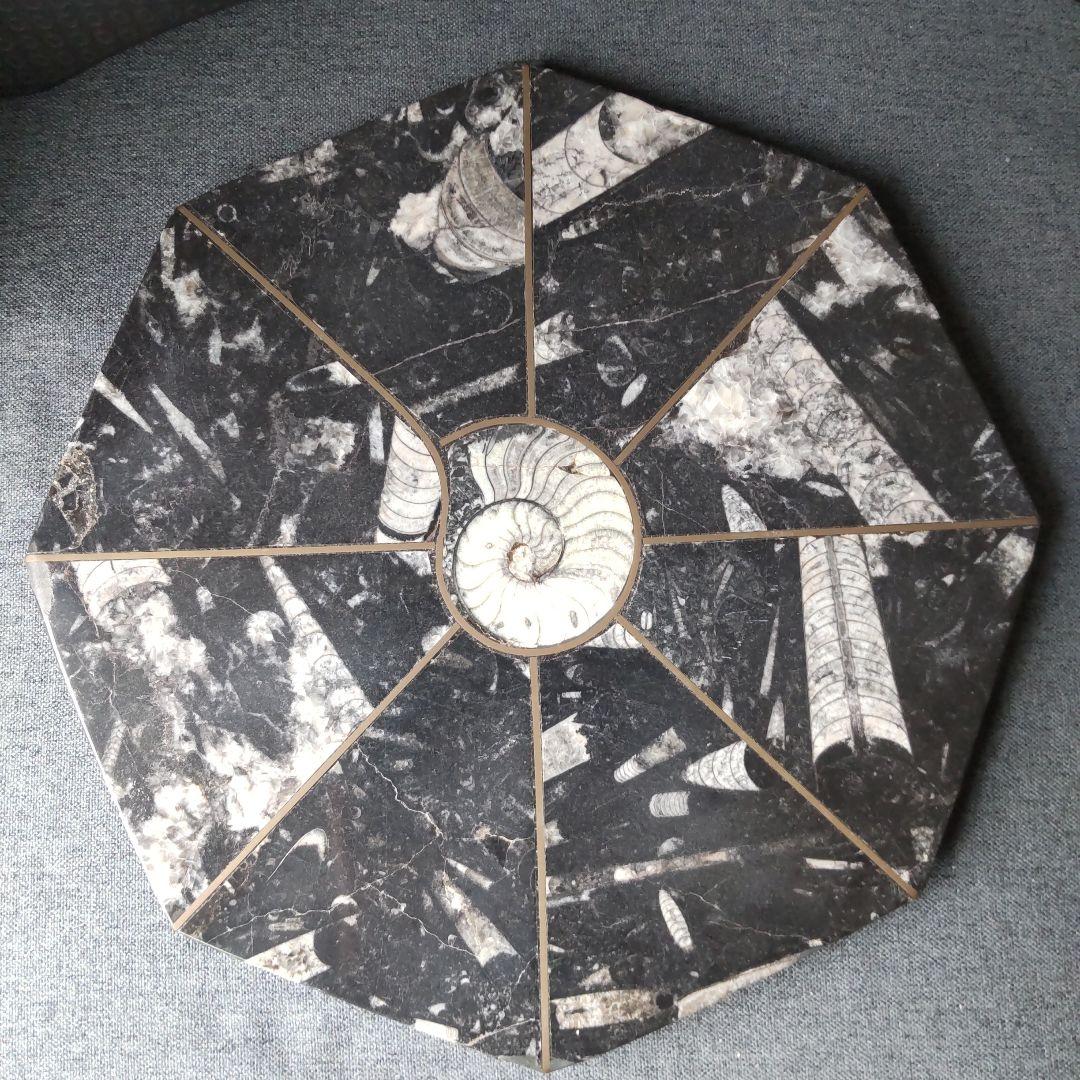 レア！アンモナイト化石 他生物の大理石八角形オブジェプレート！