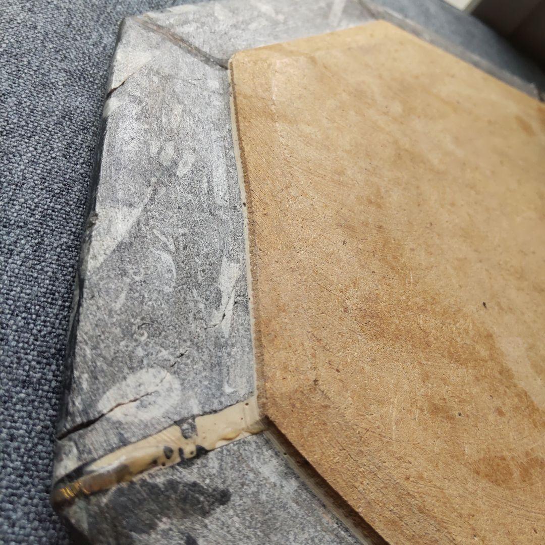 レア！アンモナイト化石 他生物の大理石八角形オブジェプレート！