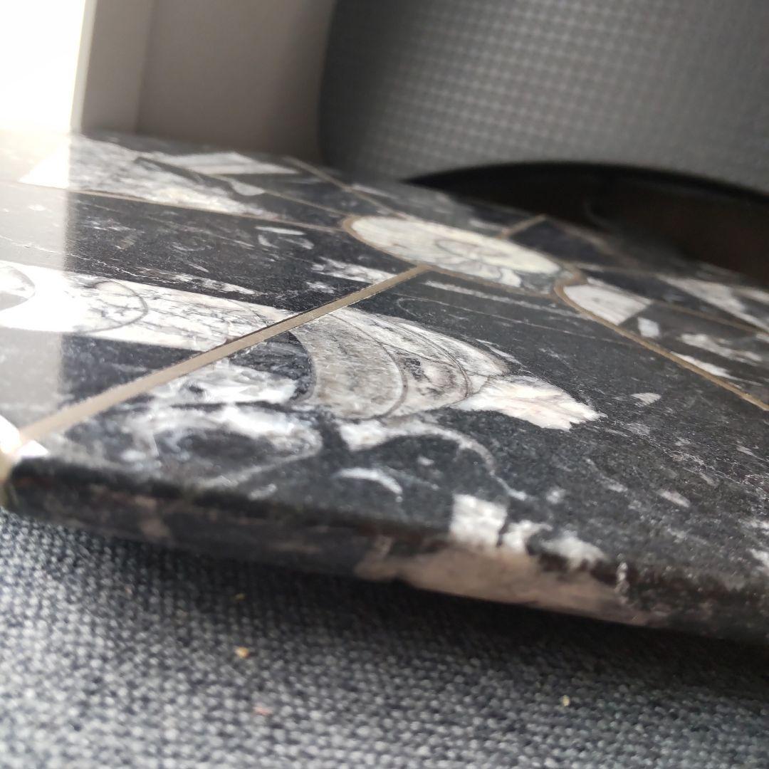 レア！アンモナイト化石 他生物の大理石八角形オブジェプレート！