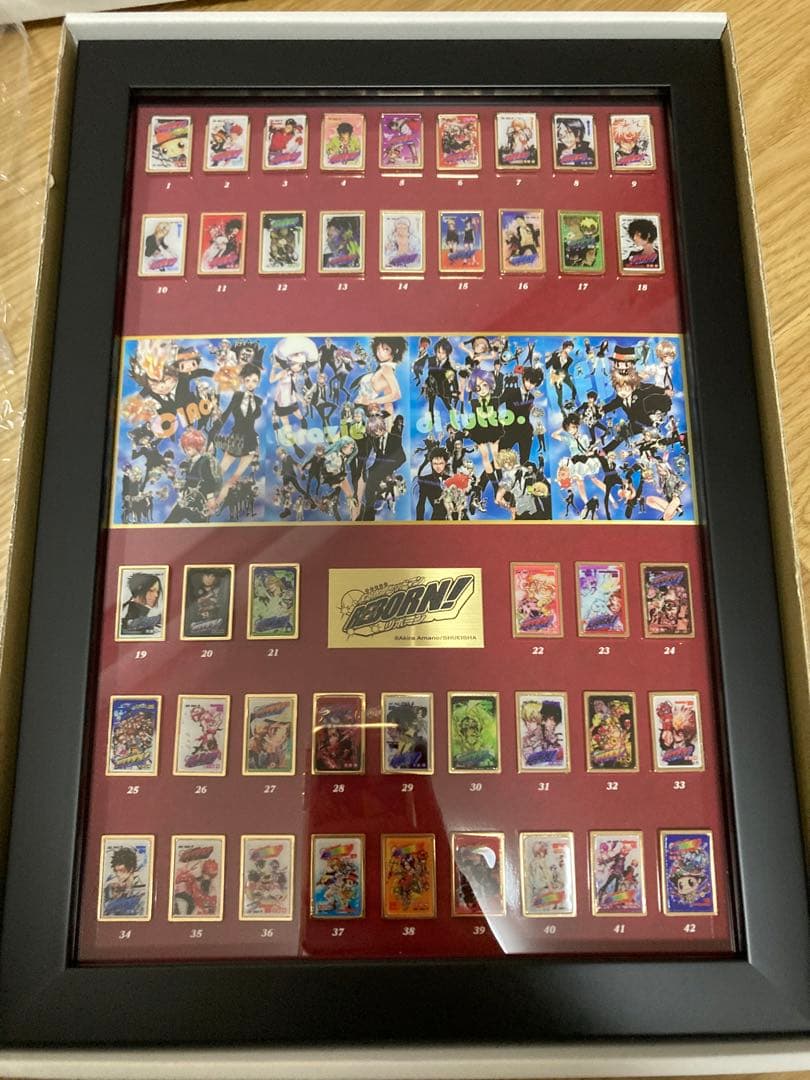 家庭教師ヒットマンREBORN! 天野明展 全巻ピンズセット 綱吉 雲雀 獄寺他