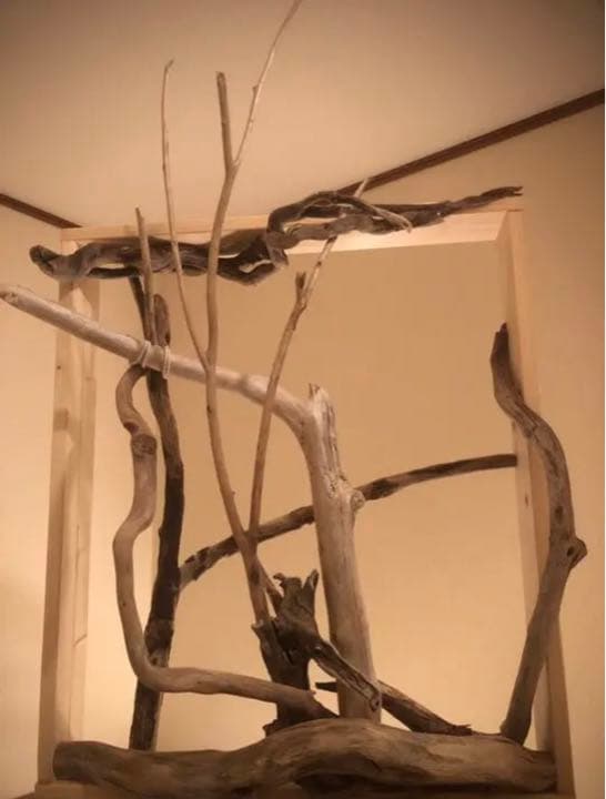 【No22】　ペット　小鳥用　流木　箱庭　とまり木　バードアスレチック