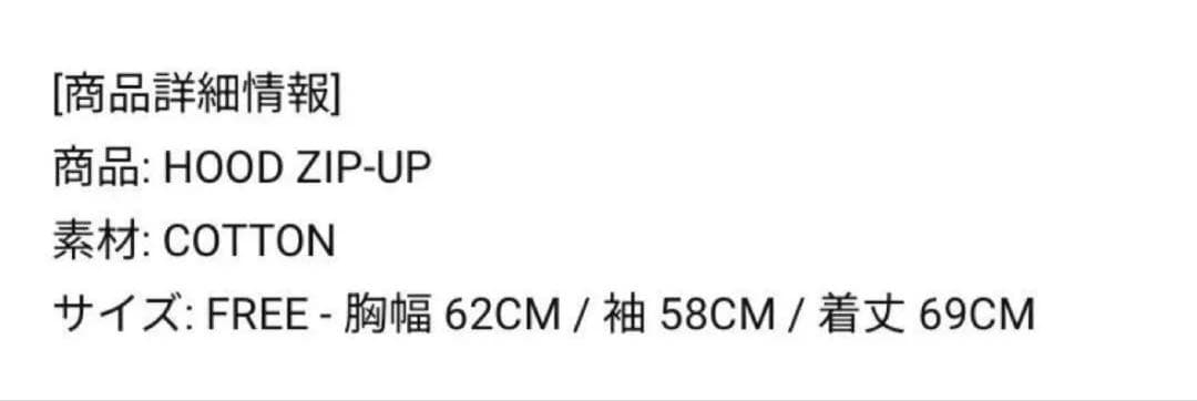 StrayKids スキズ ソウルコン パーカー グレー