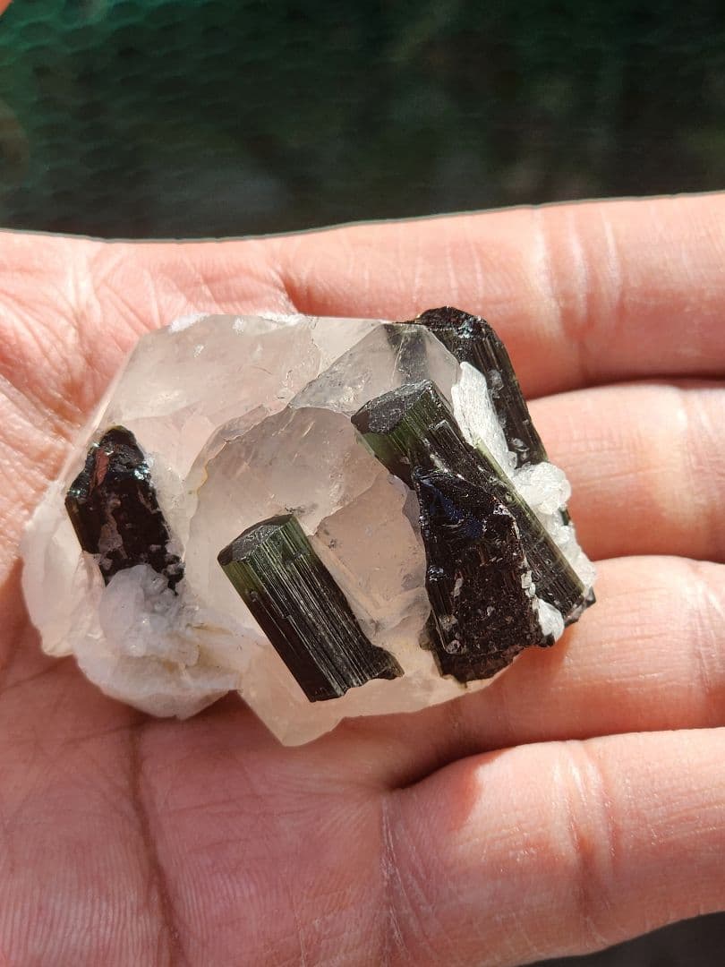 ウォーターメロントルマリン