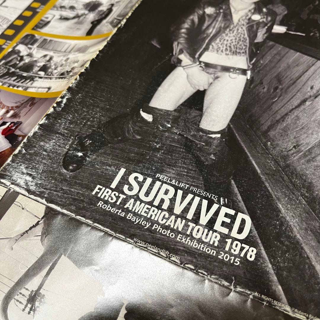 Peel&Lift 大判ポスター SEX PISTOLS