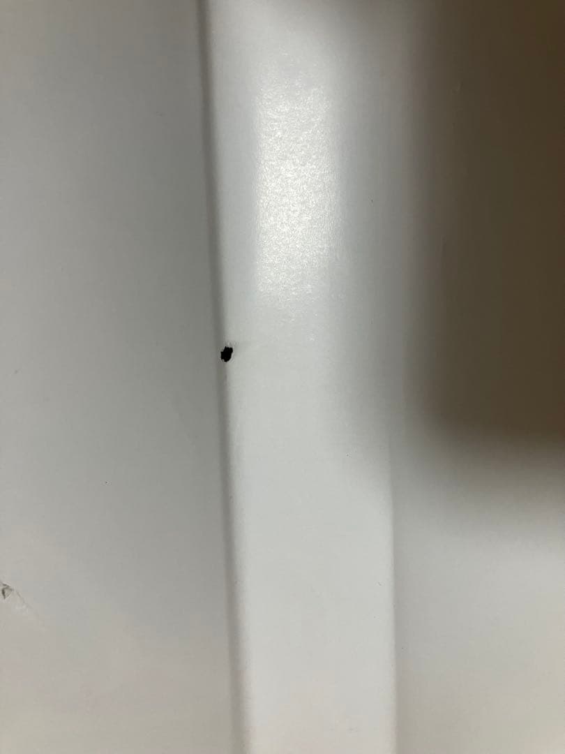 カメリア館 わたなべまさこ　第1刷発行