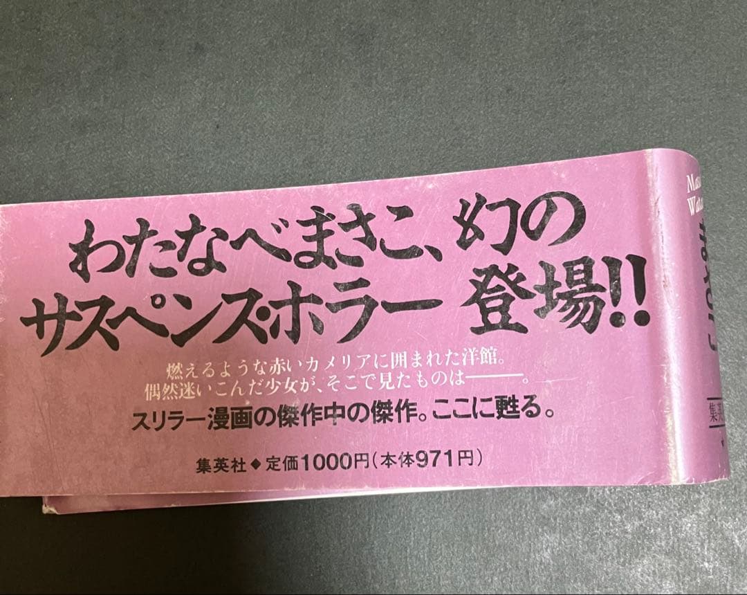 カメリア館 わたなべまさこ　第1刷発行
