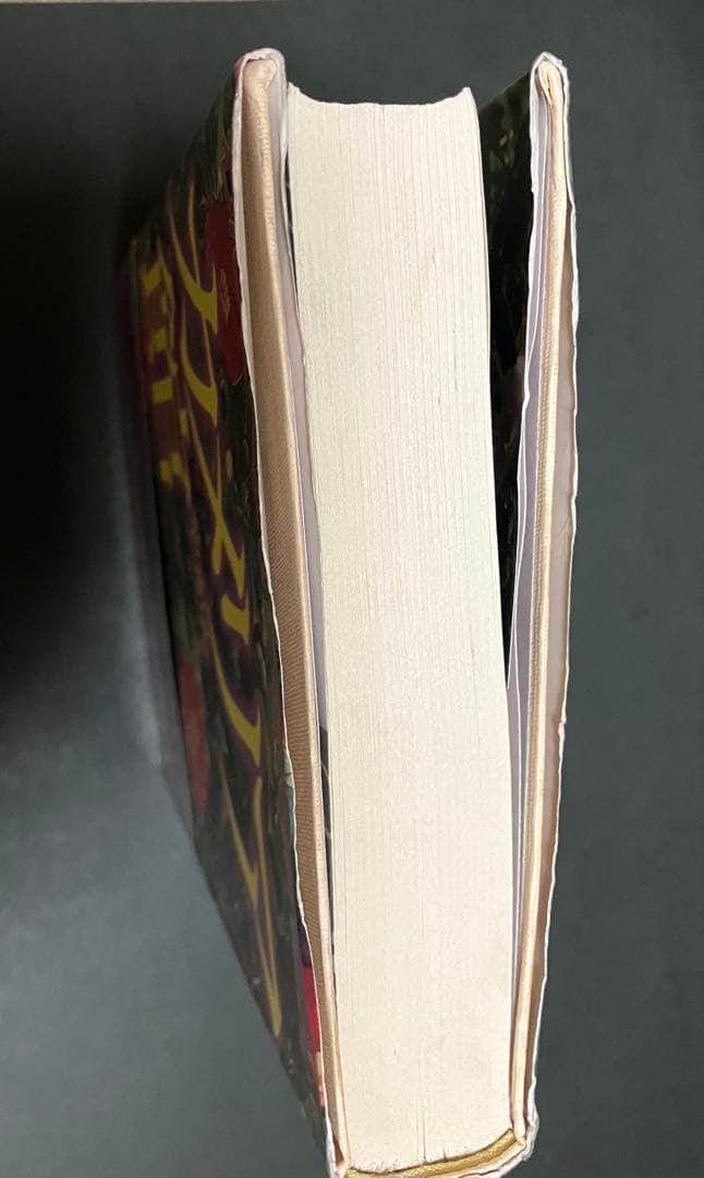 カメリア館 わたなべまさこ　第1刷発行