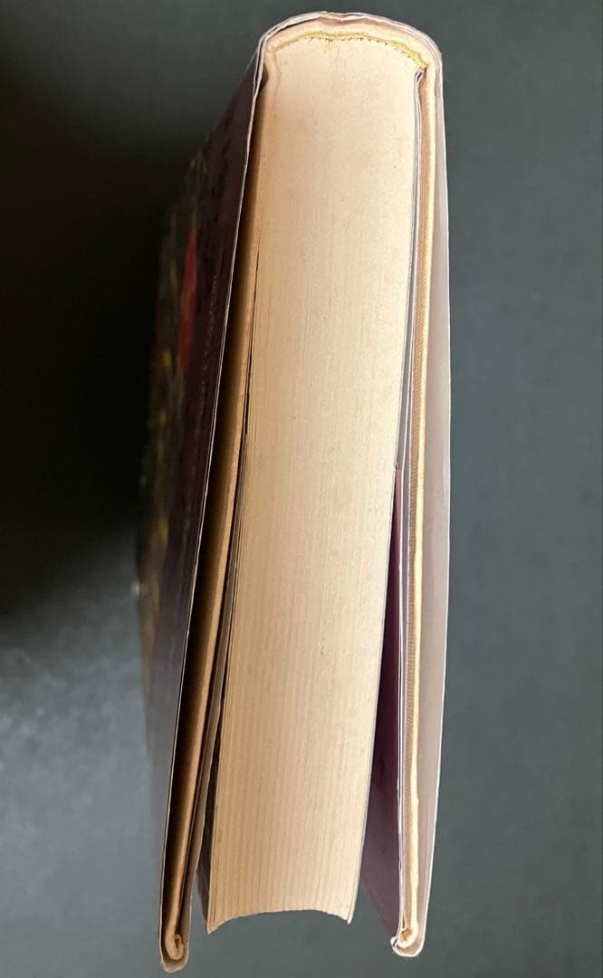 カメリア館 わたなべまさこ　第1刷発行