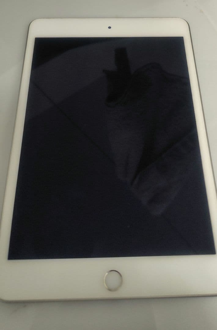 天*ん様 Apple iPad mini5（第5世代）本体　64GB 箱あり