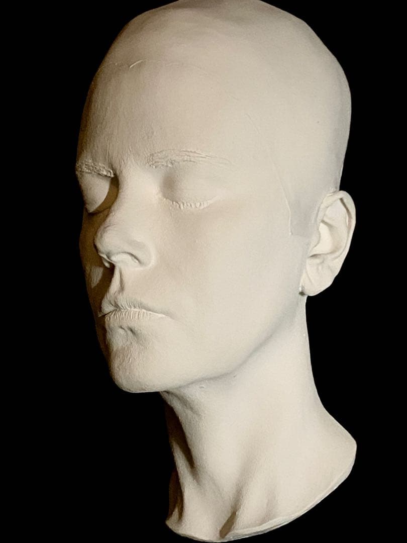 ライフキャスト ライフマスク ニコールキッドマンNicoleKidmanアザーズ