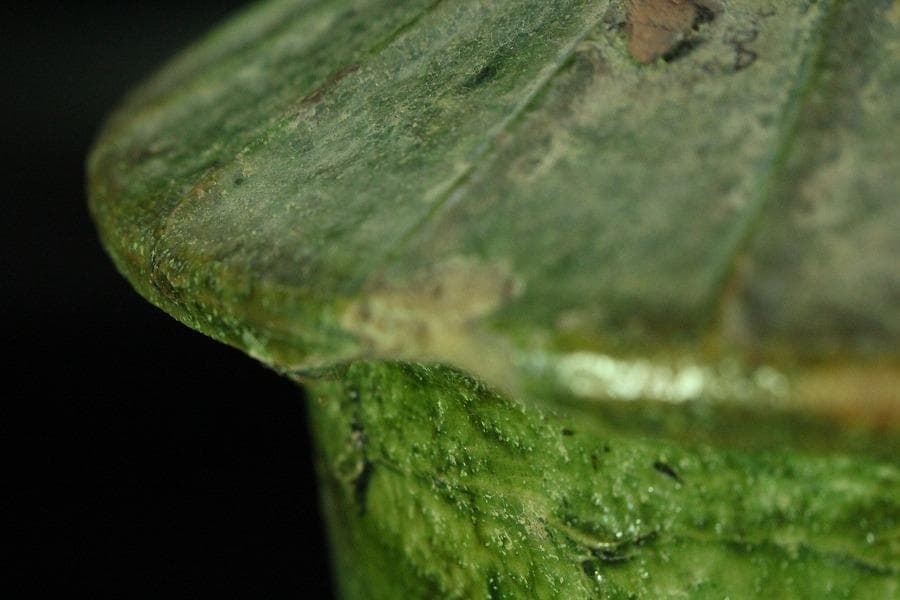 中国美術 緑釉 菌 後漢 時代物(K-A357)