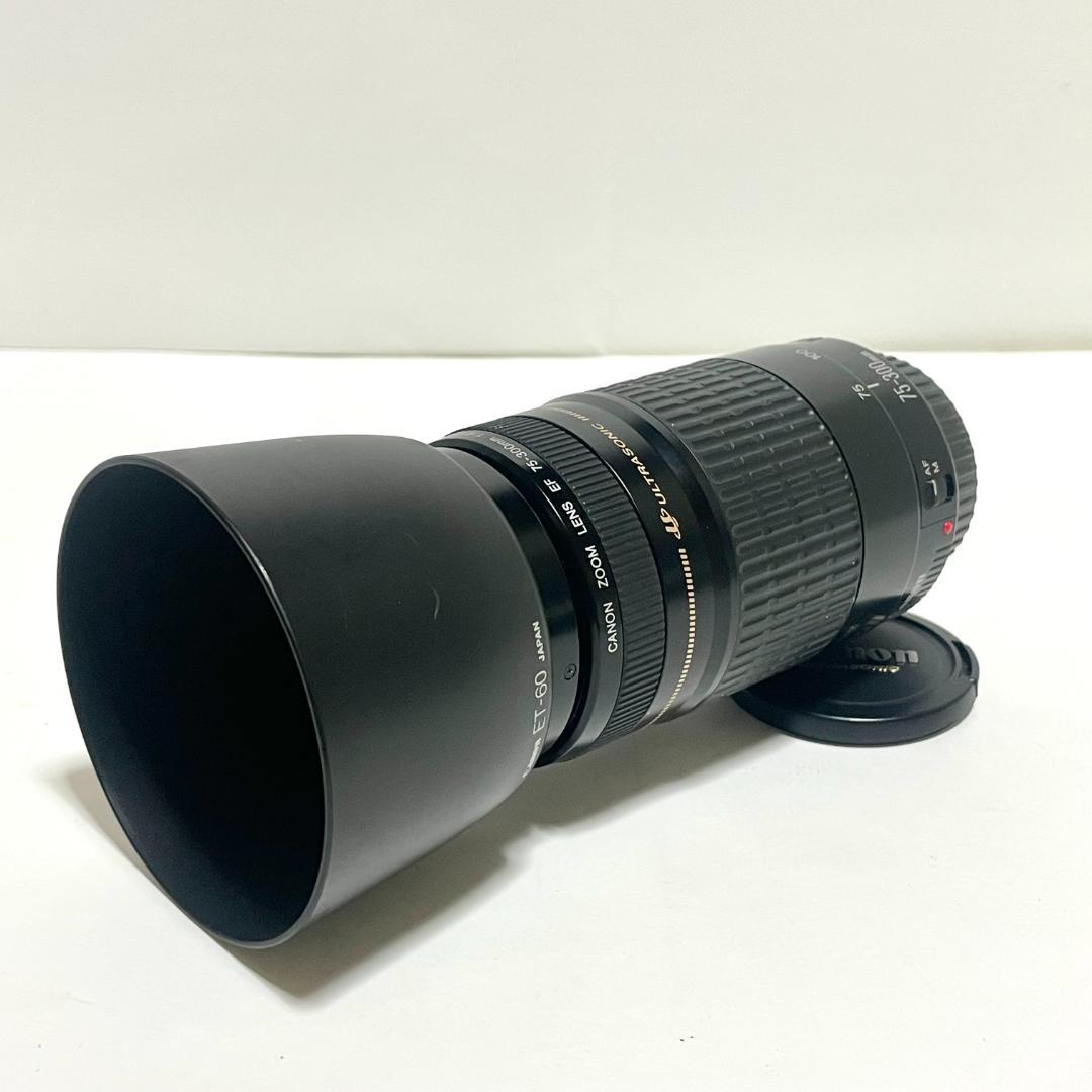 美品✨ Canon EF 75-300mm f/4-5.6 USM 望遠レンズ