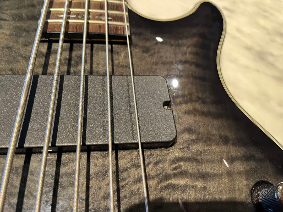 Schecter Diamond Series Elite-5 5弦ベース