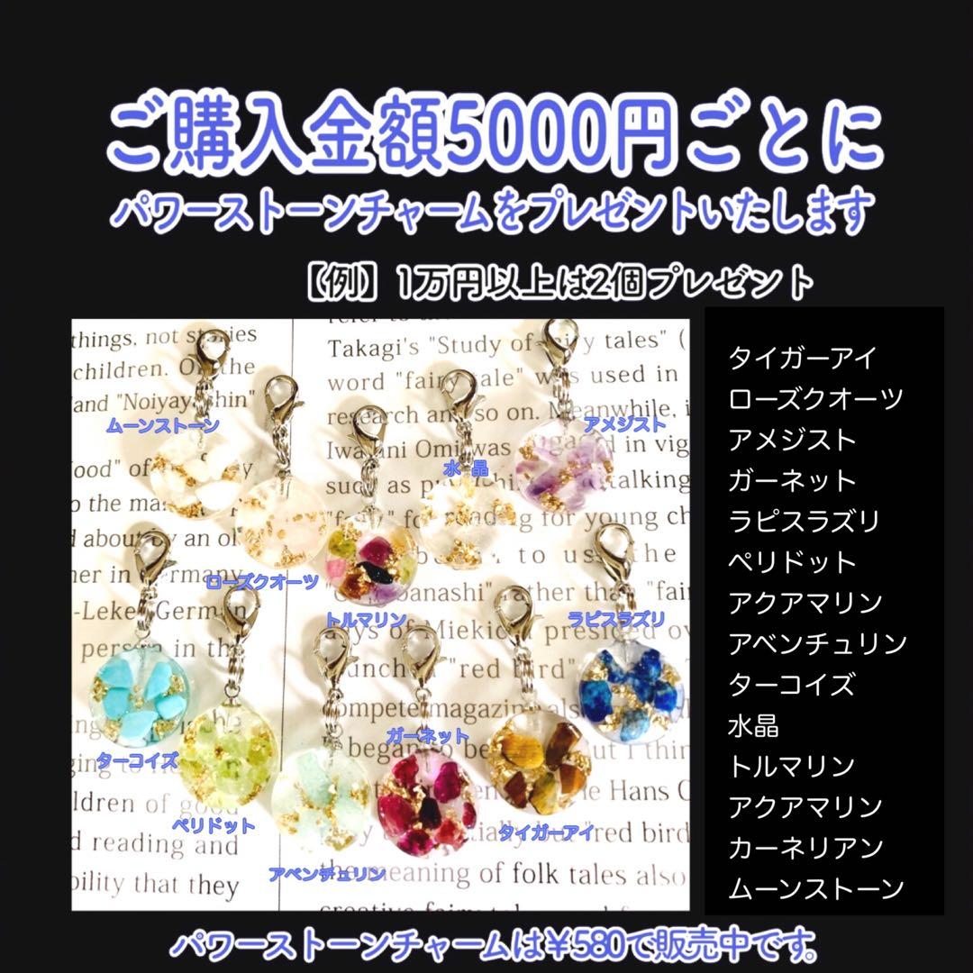 ち一さまオーダー＊白蛇抜け殻入りお守り＊５点