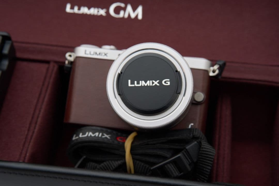 Panasonic LUMIX DMC-GM1S　レンズ