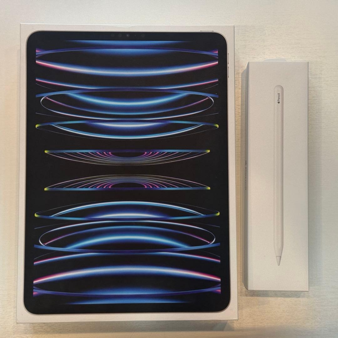 iPad Pro 11 (第4世代) 256GB Wi-Fi+Cellular