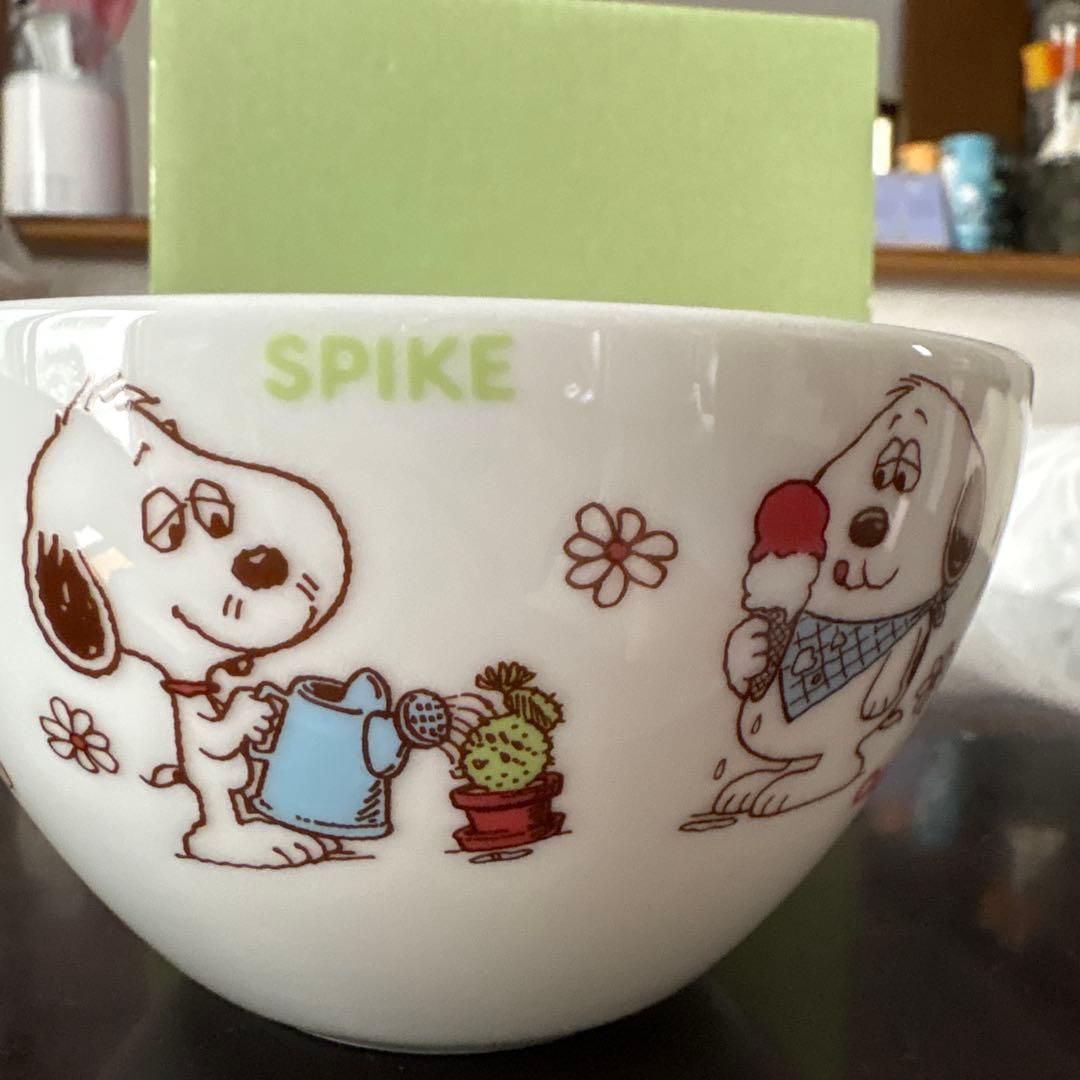 希少 スヌーピータウン限定 スヌーピー デイジーヒルパピーズ 5点セット