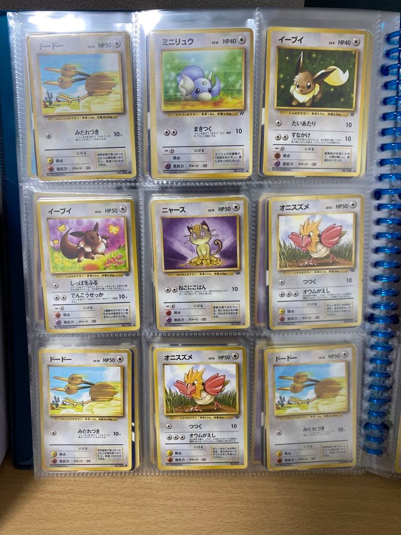 ポケモンカードコレクション