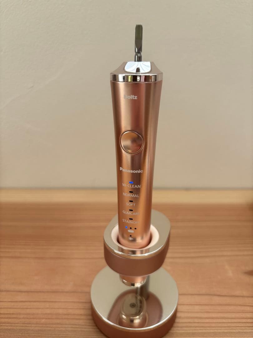 Panasonic Doltz EW-DP51 音波電動ハブラシ ドルツ 本体