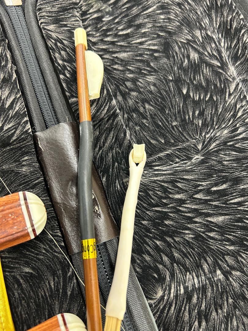 中国楽器　ケース付き　二胡　高級　弓あり