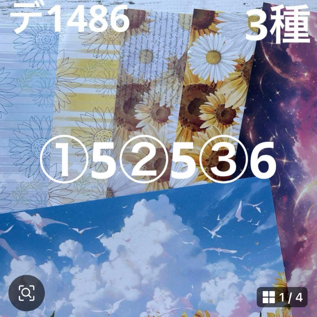 ②専用ページ ano様