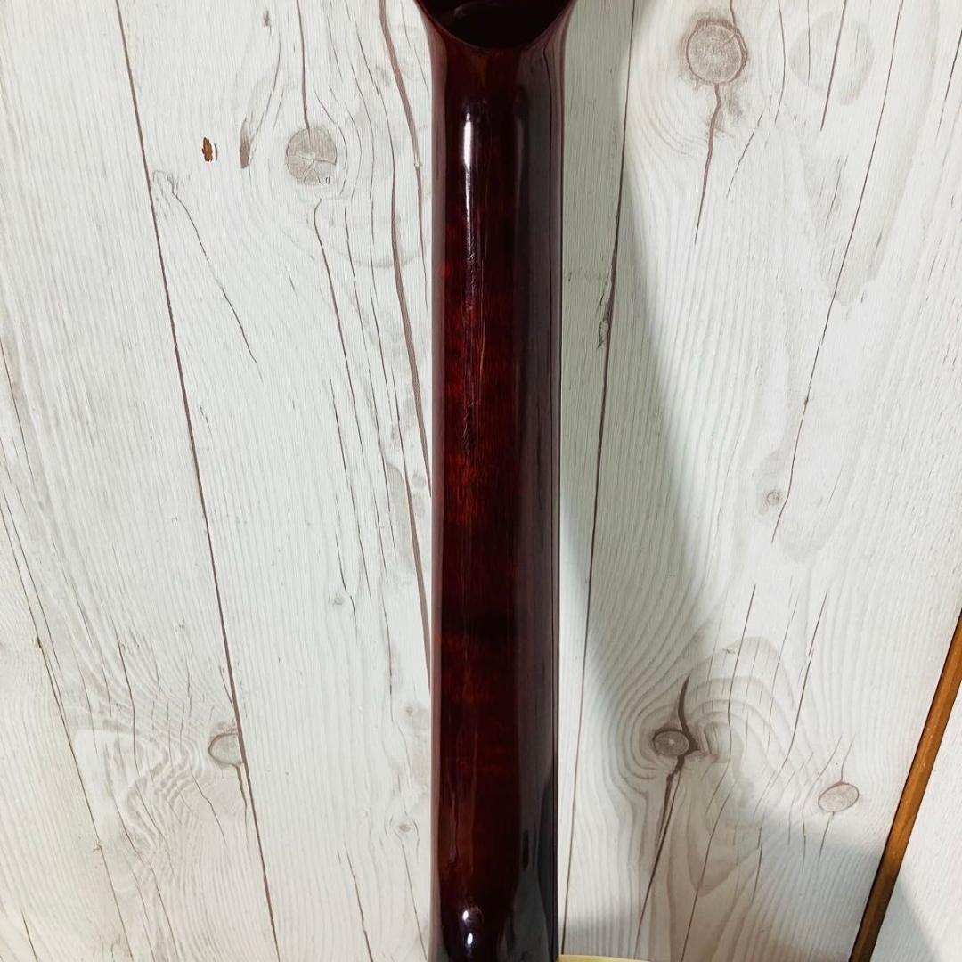 Paul Reed Smith SE Angelus Custom エレアコ