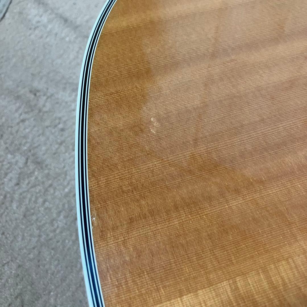 Paul Reed Smith SE Angelus Custom エレアコ