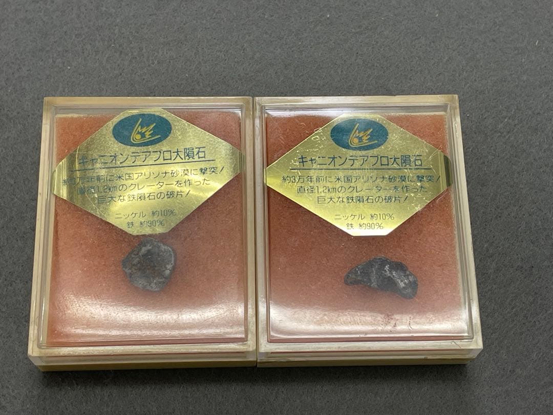東京サイエンス　キャニオンディアブロ大隕石2個