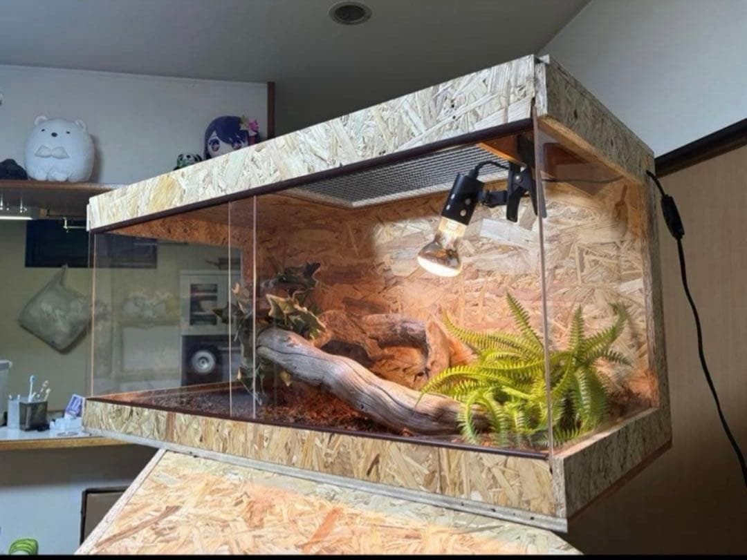 爬虫類ケージ 80×40×40 サイドアクリル　飼育ケージ ケージ 爬虫類