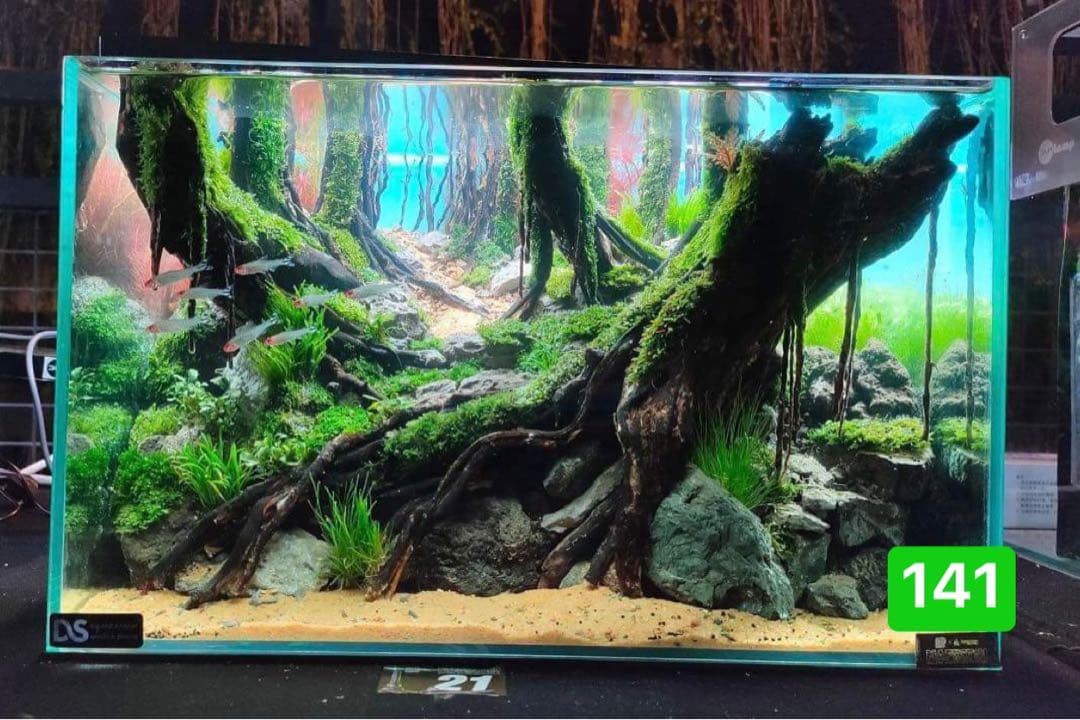 TTD 9045 【⭐︎ な様⭐︎】【美品・数量限定】