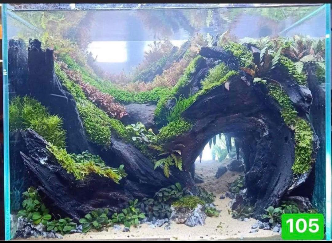 TTD 9045 【⭐︎ な様⭐︎】【美品・数量限定】