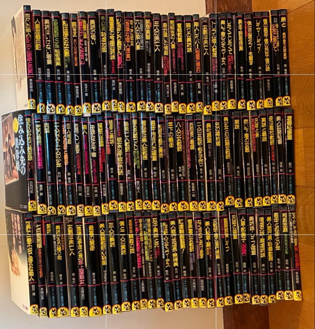 早い者勝ち フランス書院文庫 大量 90冊 大量 まとめ売り 官能小説