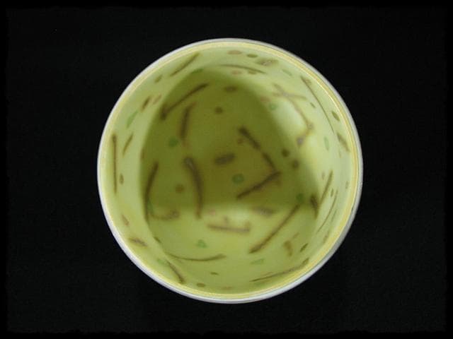 人気作家 伊藤 北斗 釉刻色絵金銀彩 茶入 バラ 魚 四方桟 共箱 e166