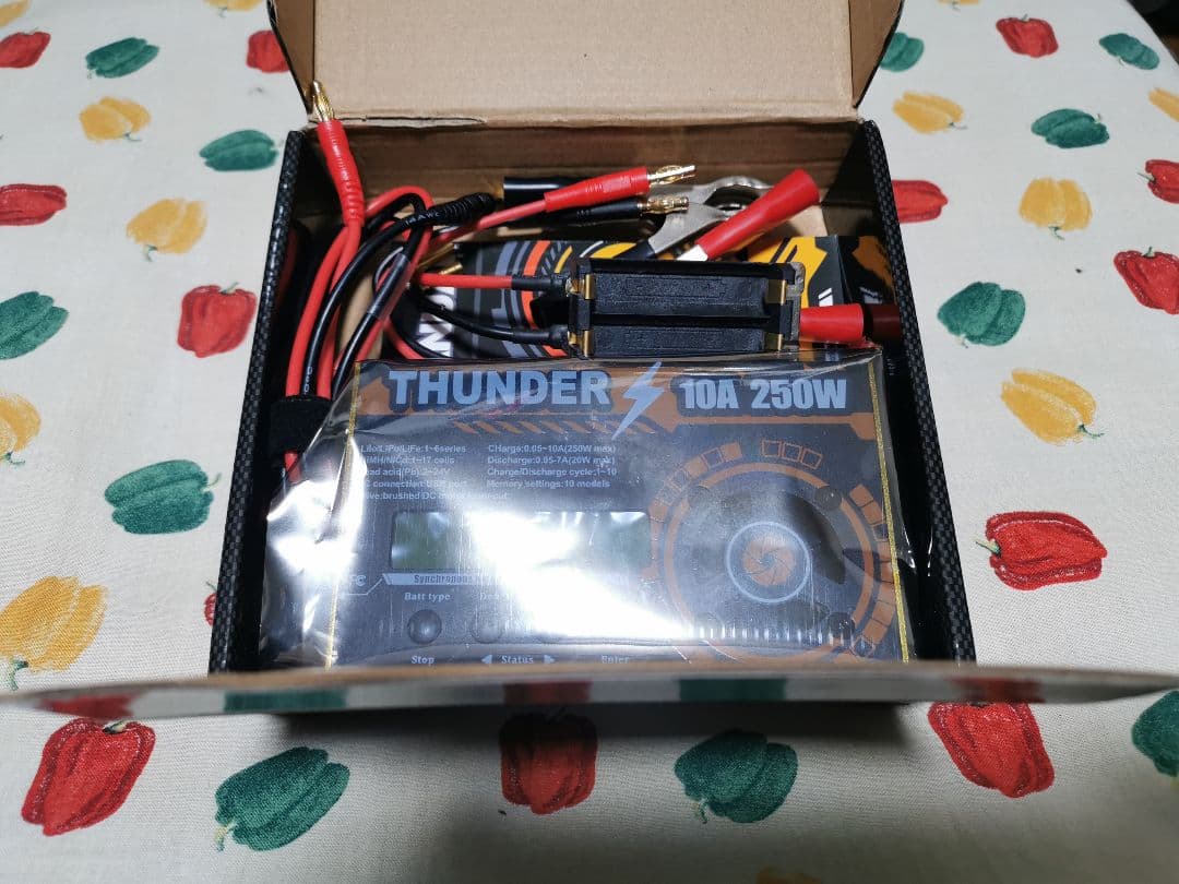 充電器　サンダー10A250W（アンチマター同等品）、ネオチャンプ12本付き