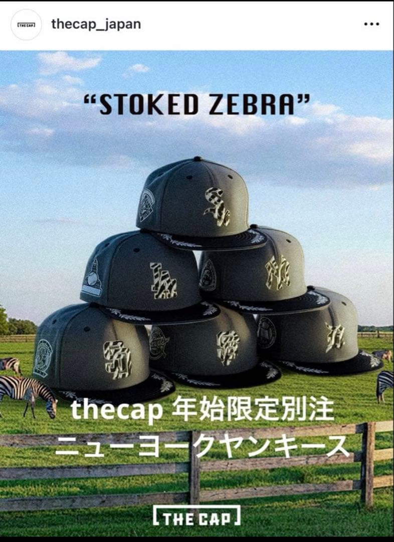 ザキャップ　ホワイトソックス　ゼブラヤンキース 2点セット