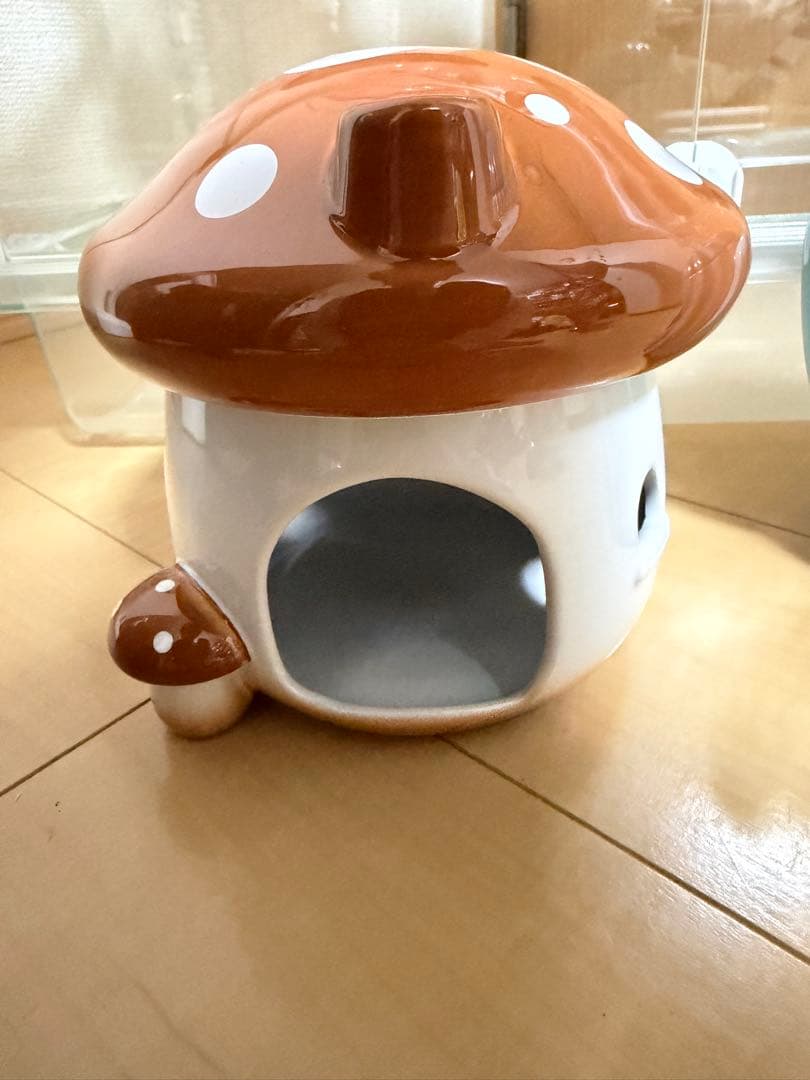 GEX グラスハーモニー600 BUCATSTATEセット