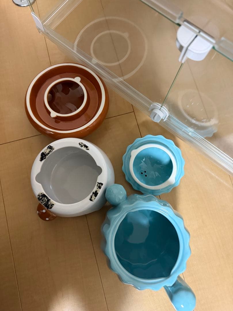 GEX グラスハーモニー600 BUCATSTATEセット