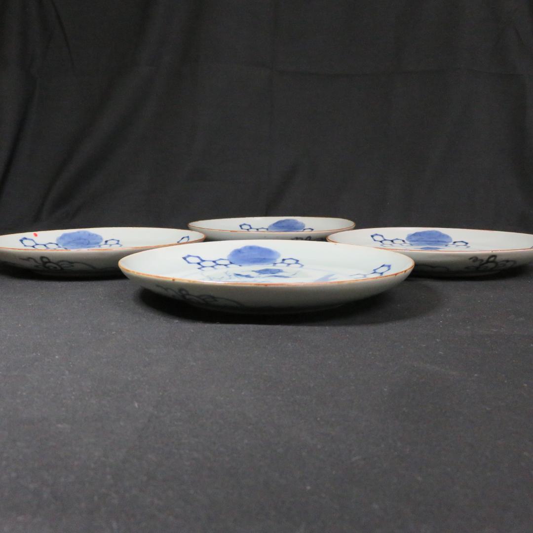 古伊万里 中皿 染付 4枚 甘手 蛤チップ 歪み 貫入 獅子 江戸