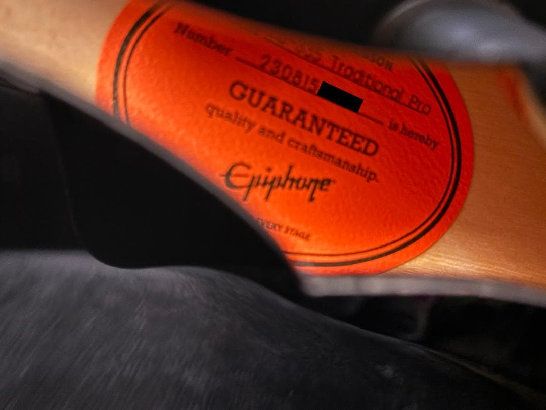 ギター Epiphone ES-335 Traditional Pro