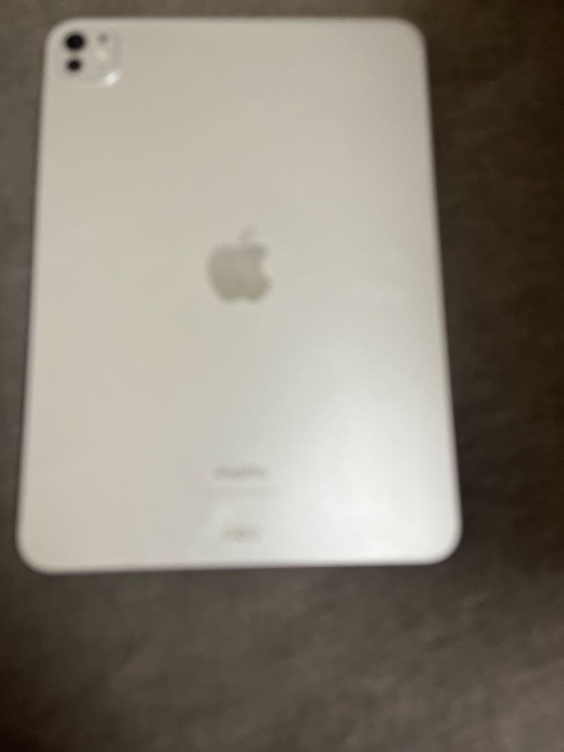 Apple iPad Pro 11インチ第5世代256GB